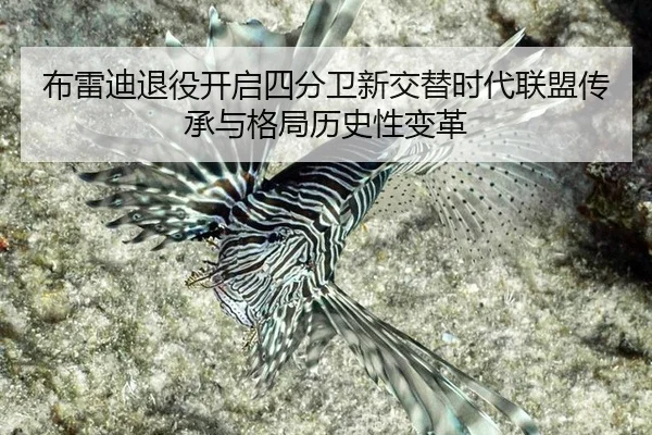 bu-lei-di-tui-yi-kai-qi-si-fen-wei-xin-jiao-ti-shi-dai-lian-meng-chuan-cheng-yu-ge-ju-li-shi-xing-bian-ge-2-912.jpg