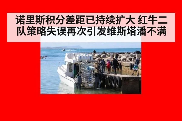 诺里斯积分差距已持续扩大 红牛二队策略失误再次引发维斯塔潘不满