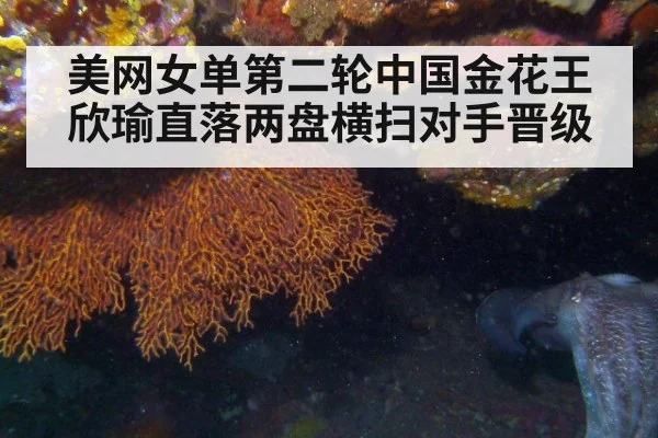 美网女单第二轮中国金花王欣瑜直落两盘横扫对手晋级
